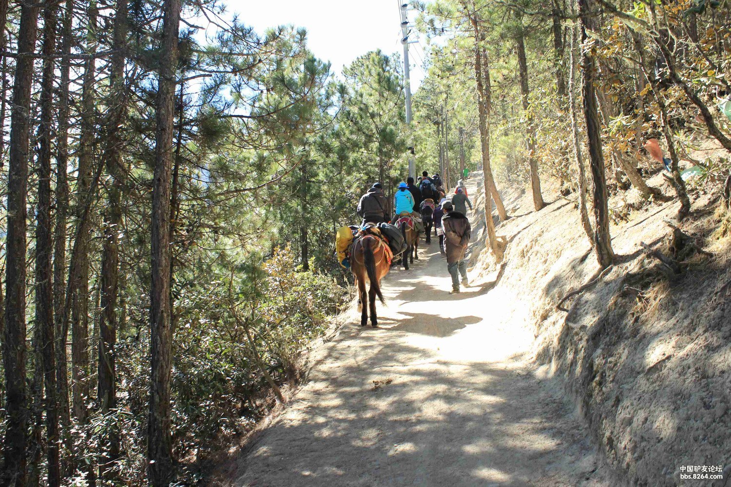 一个人的孤芳自赏旅行---丽江、梅里雨崩、、尼