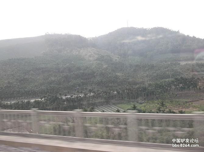 2014新发现,亲民价享受三亚最美夜景海鲜