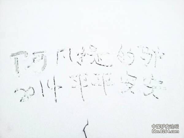 倒骑毛驴的阿凡提曲谱_阿凡提骑毛驴图片
