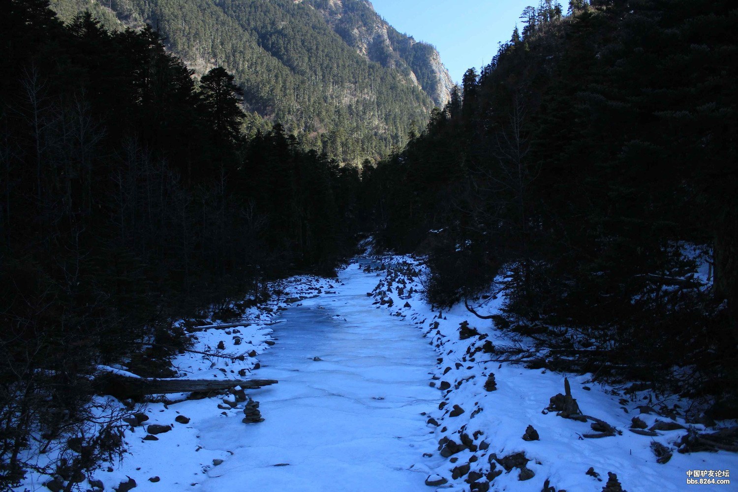 一个人的孤芳自赏旅行---丽江、梅里雨崩、、尼