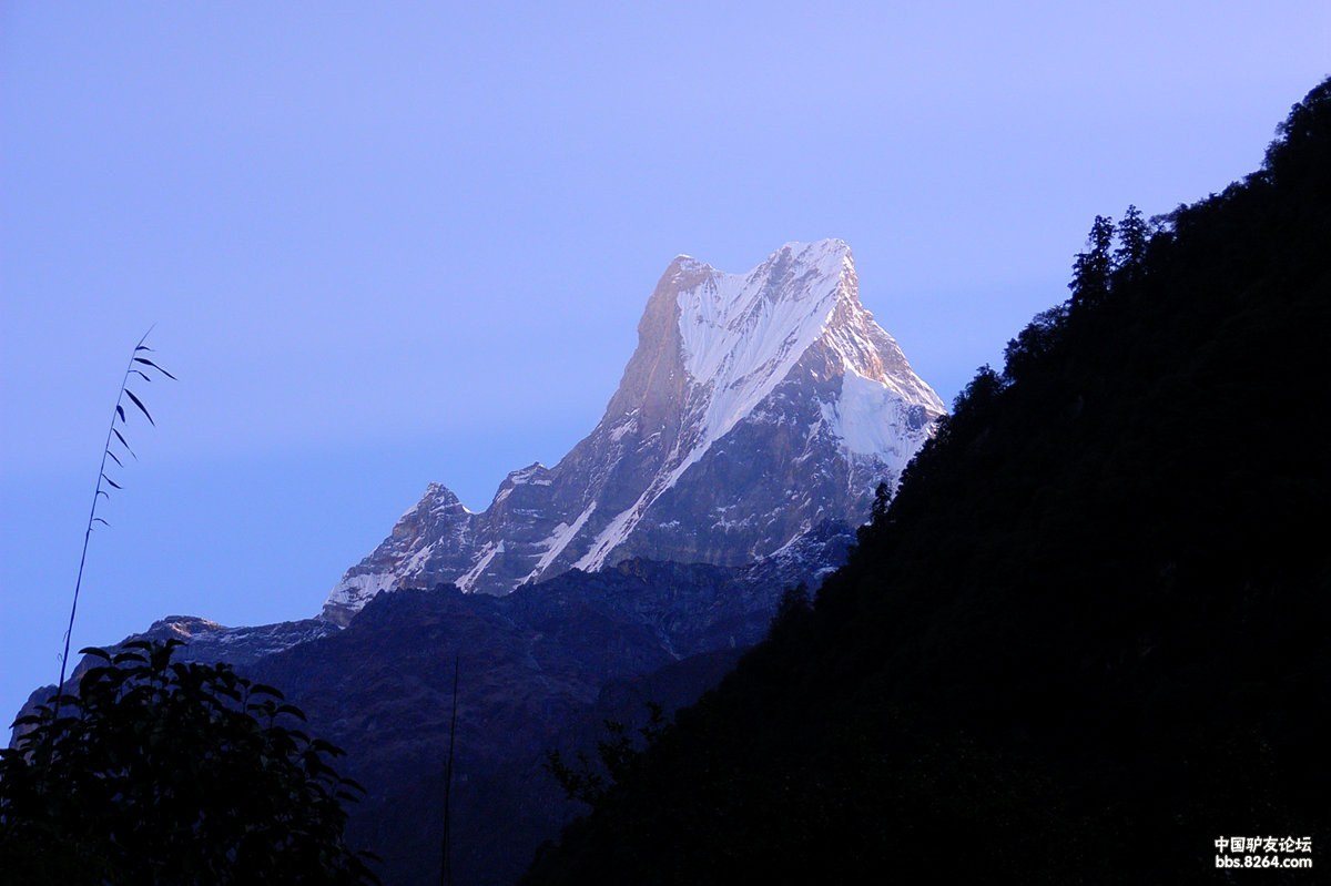 04291006ii4vhxix40ft00.jpg!t1w1500h1500