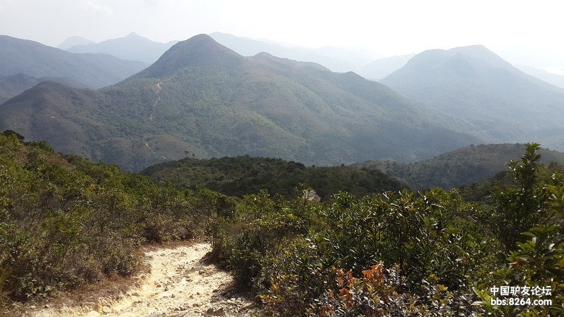 [更新完毕]2014 年春节期间香港麦里浩径凤凰径