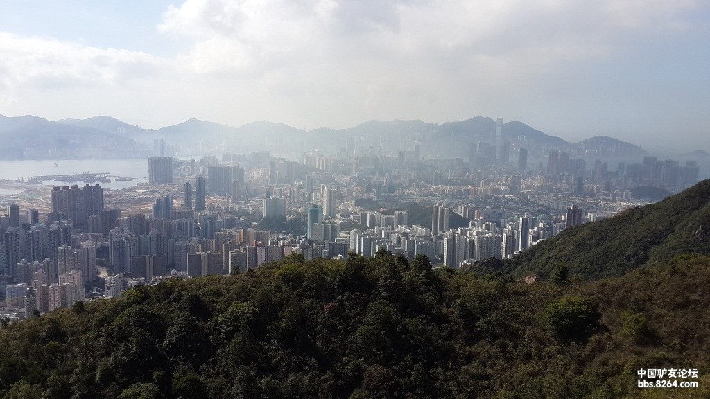 [更新完毕]2014 年春节期间香港麦里浩径凤凰径