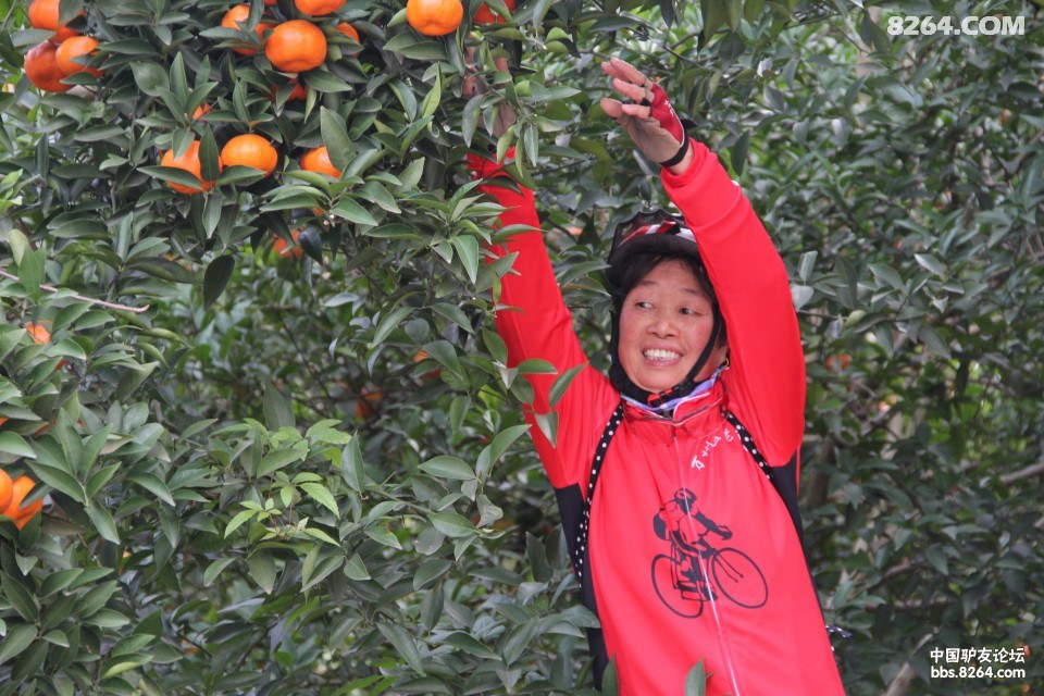 初冬-11.28骑行中国古红橘的故乡万州太龙镇