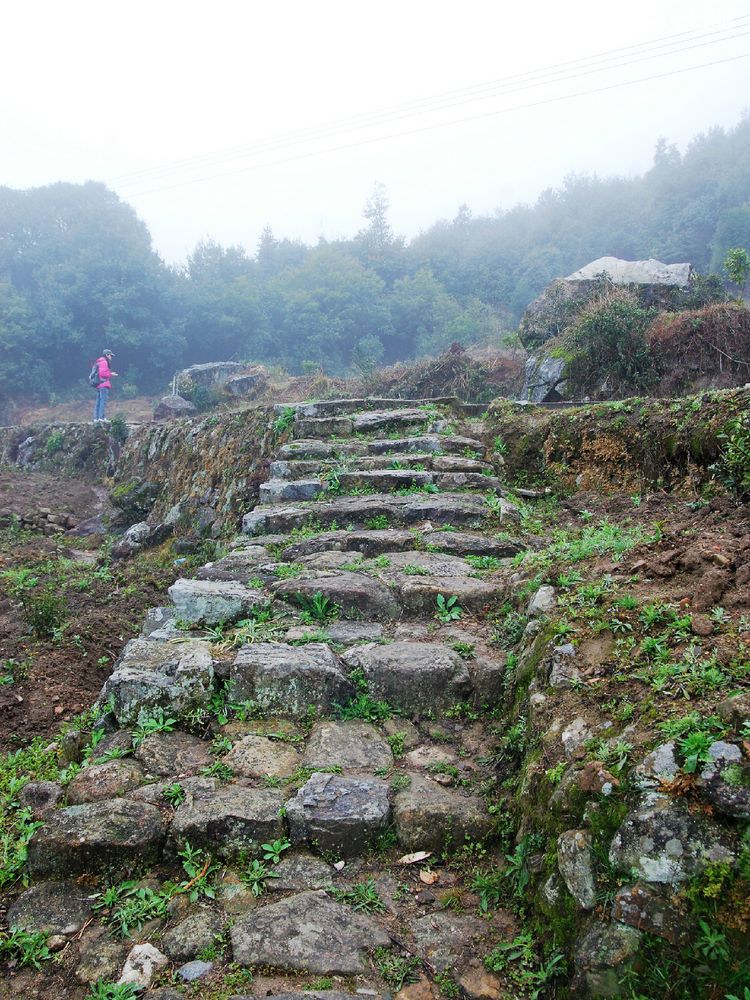 转山&五台乐山 - 福建 - 8264手机触屏版