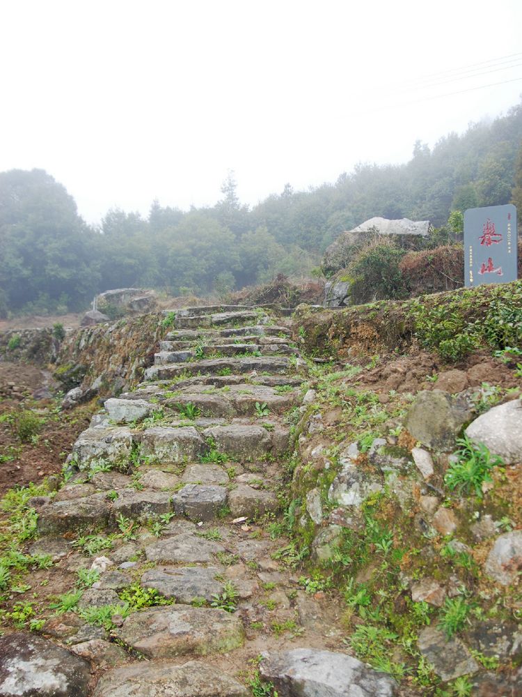 转山&五台乐山 - 福建 - 8264手机触屏版