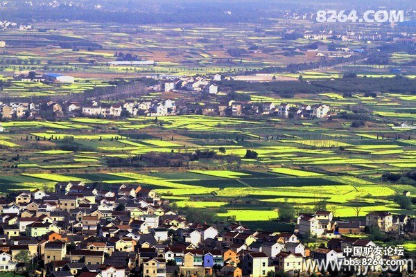 京出发黄山、婺源、景德镇自驾游召集[徐州、