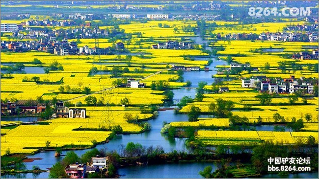 京出发黄山、婺源、景德镇自驾游召集[徐州、