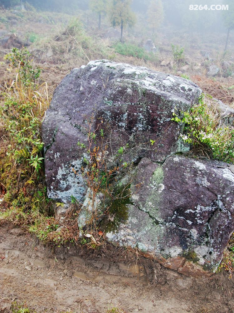 转山&五台乐山 - 福建 - 8264手机触屏版