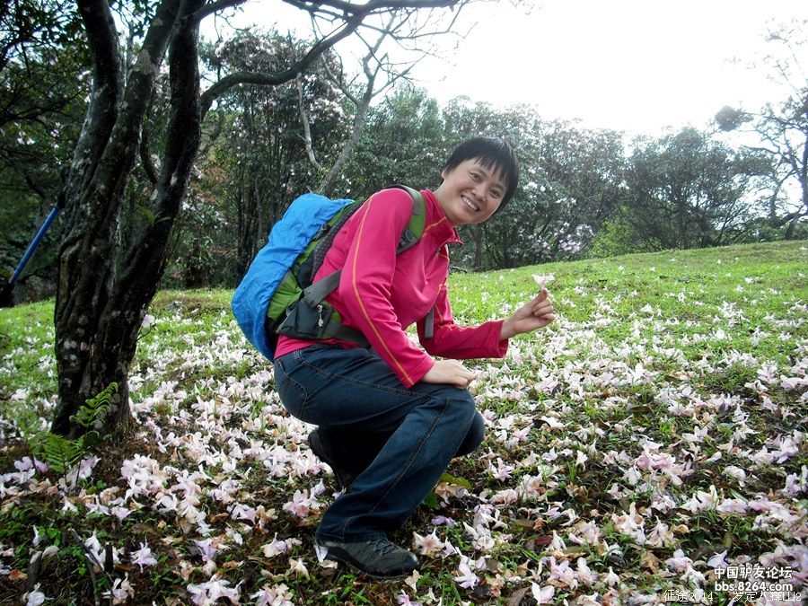 醉美香格里拉,罗定八排山花海云海排山倒海。
