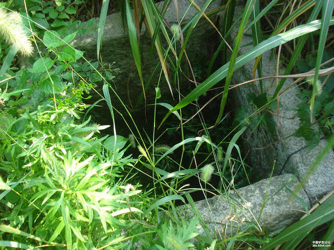 国庆连江粗芦岛虎橱岛露营回顾