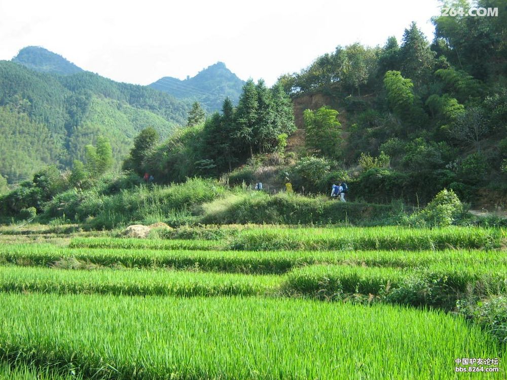 建瓯辰山(一览众山小)重装登顶穿越 - 福建 - 82