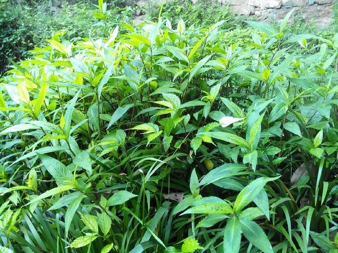 2014\/05\/01官庄蜘蛛洞 户外攀岩挑战自我