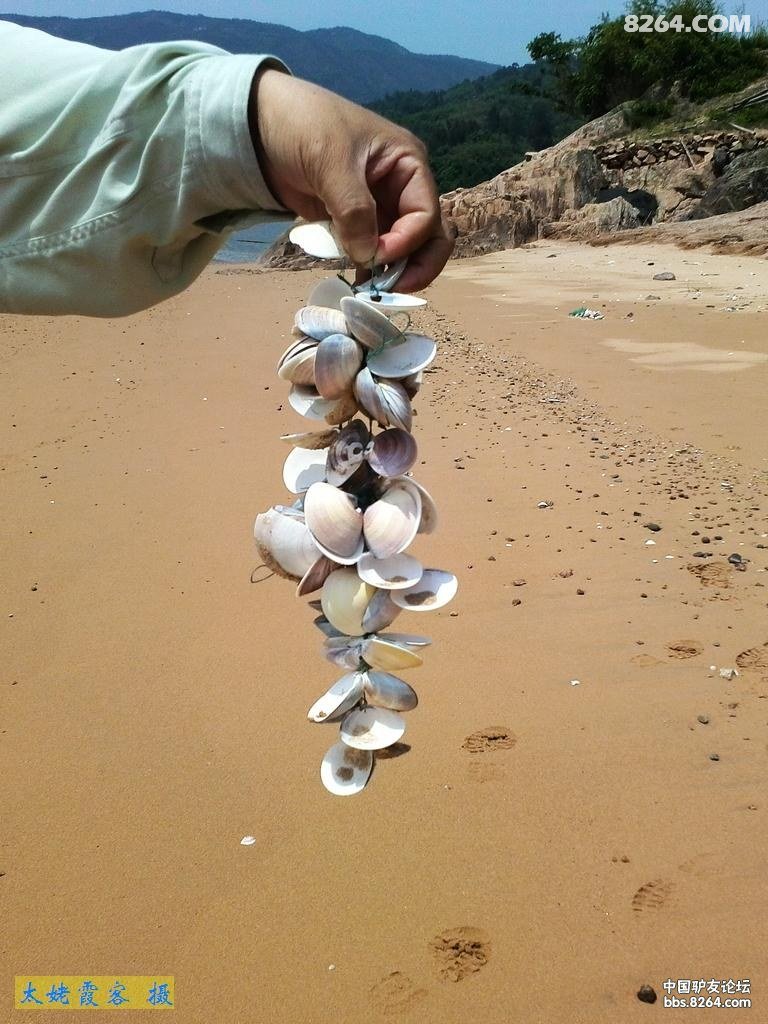 猜一猜:这个贝壳串串是做什么的?