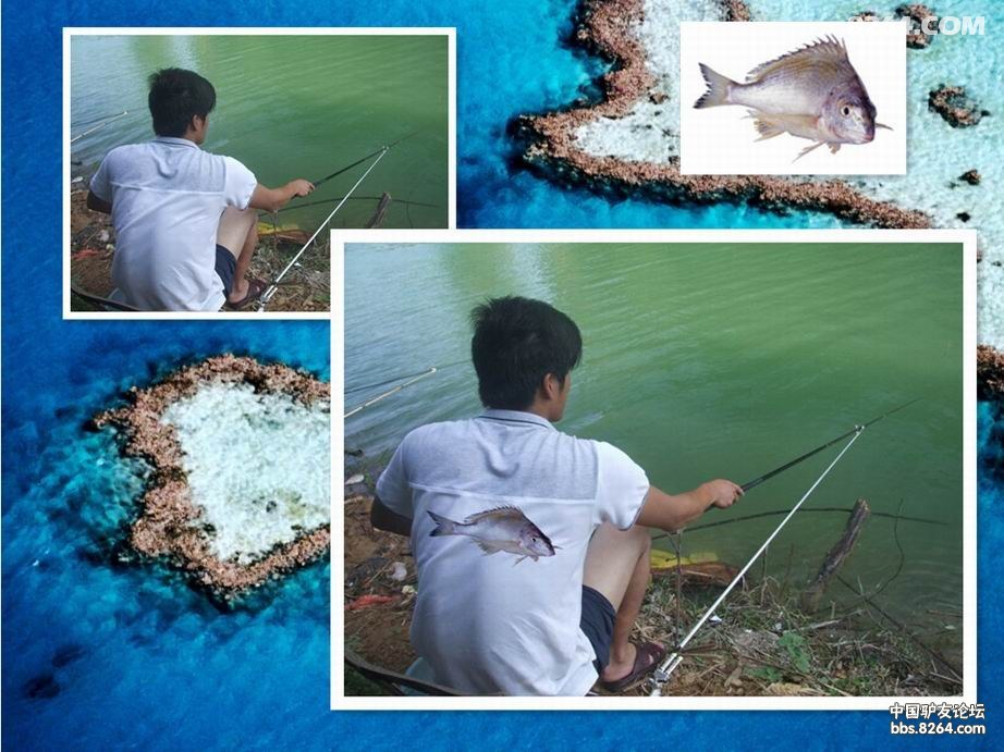 给钓鱼人的衣服贴上鱼的标志 - 第1页