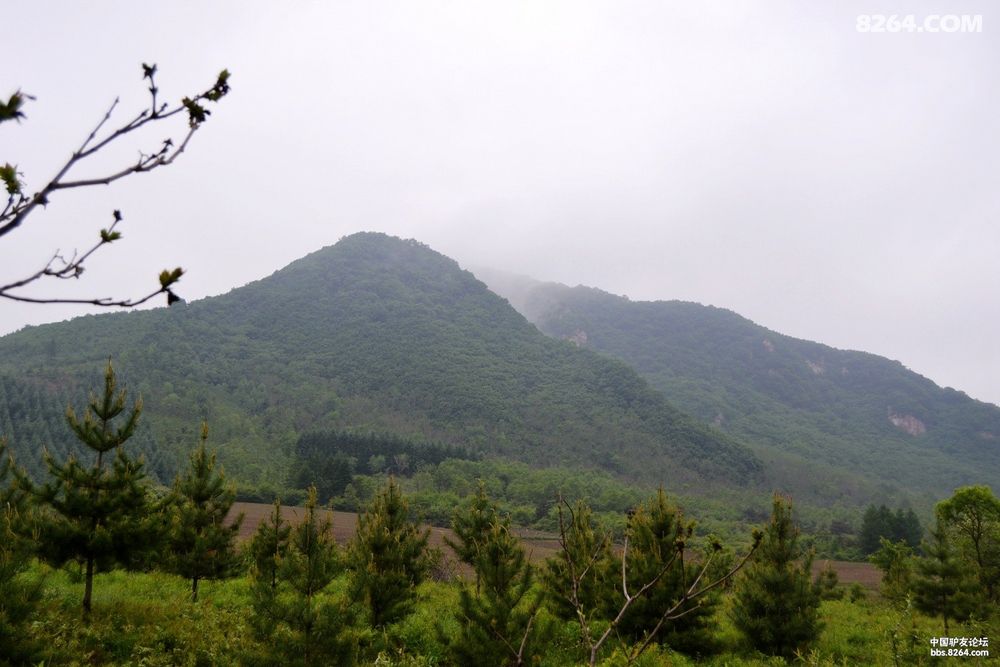 人间最美四月天