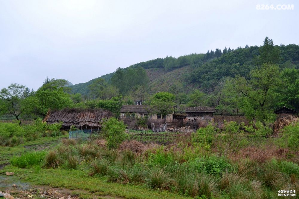 人间最美四月天