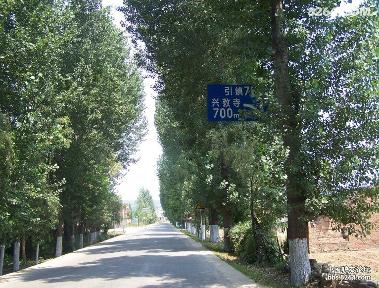 20140623半日骑行王莽清水头赏荷花 - 骑行天