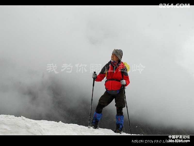 我为你翻山越岭,却无心看风景