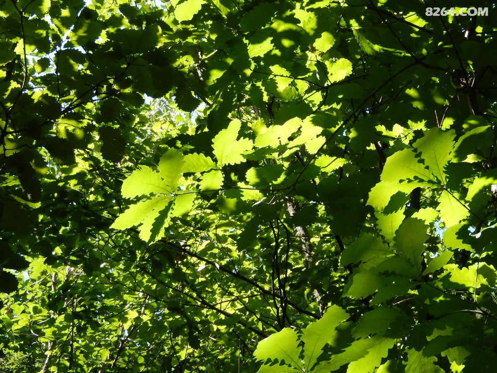 骑行长子九连环,偶逢吉庆佛一缘 - 骑行天下 - 8