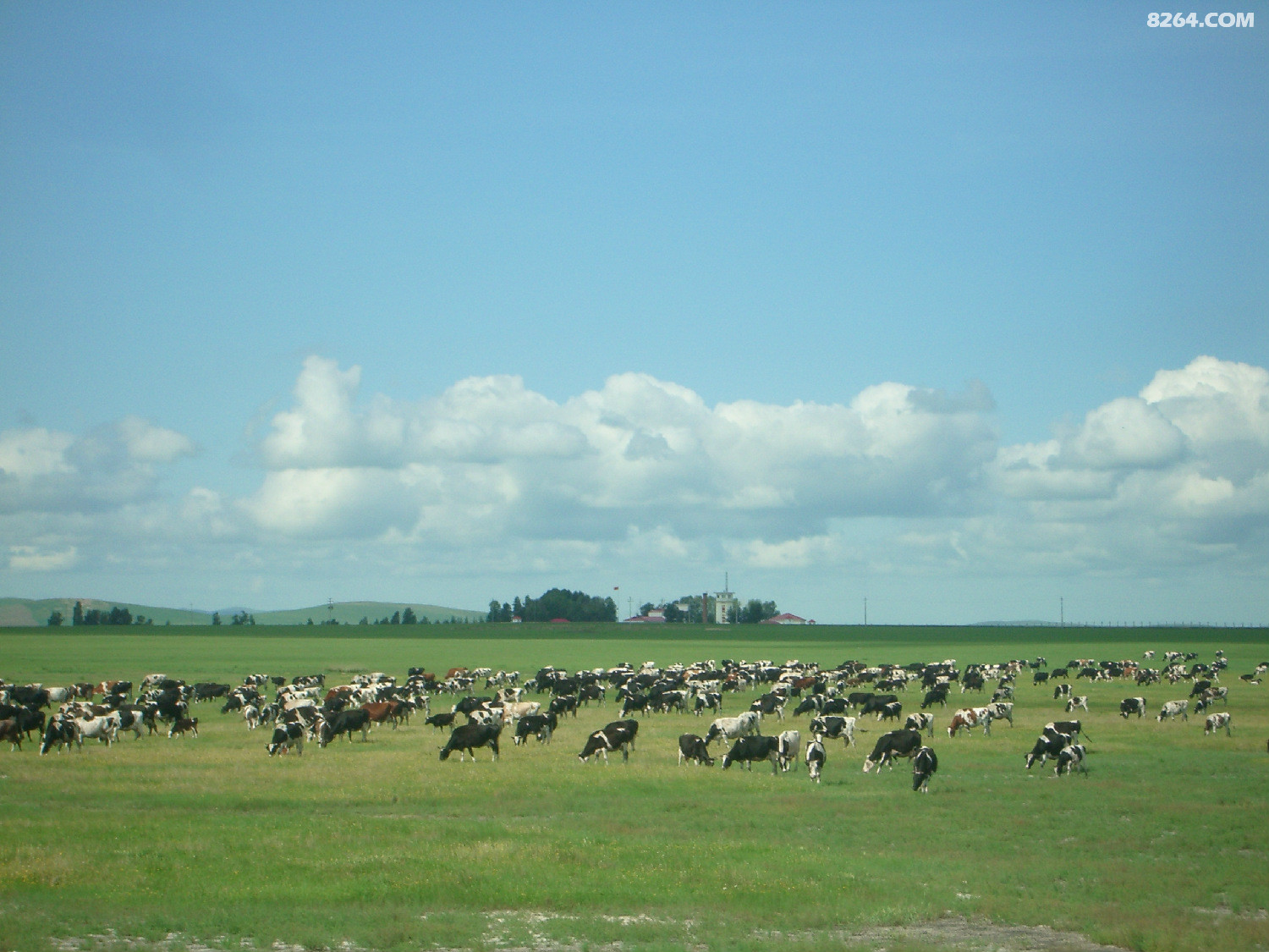 2014漠河旅游包车-畅游呼伦贝尔大草原 - 第1页