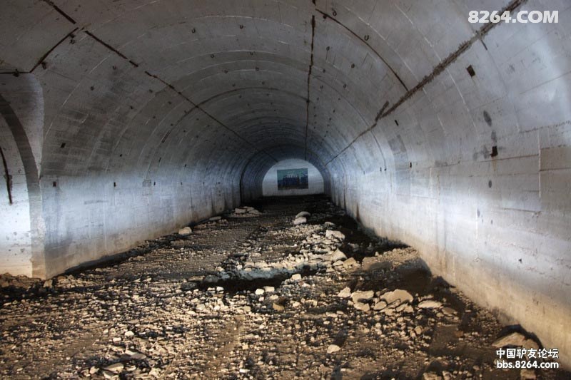 重装穿越原始森林不为参观废弃的兵工厂、看金莲花,只为寻找老虎和金钱豹踪迹 - 第1页 - 游记攻略 - 户外资料网