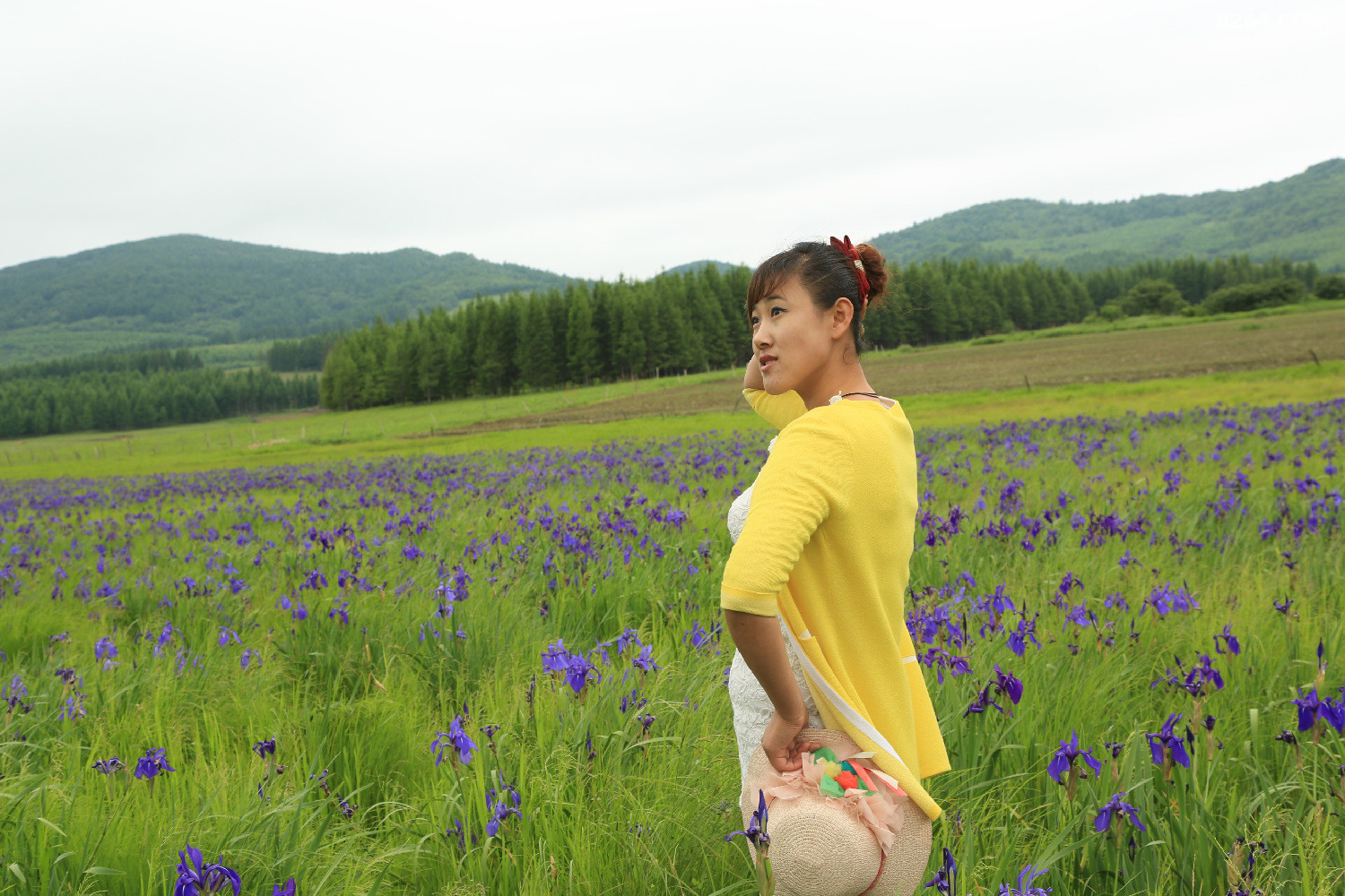 马兰花开的季节 - 第1页 - 我秀我户外