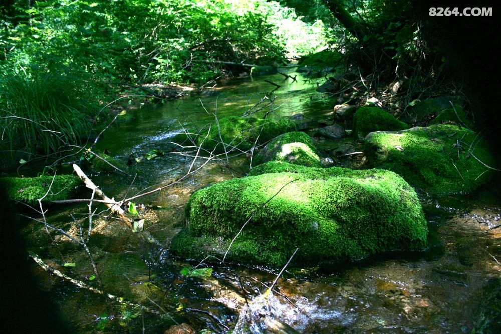 累并快乐着,年逾花甲,爬22公里山路,看蒲石河石