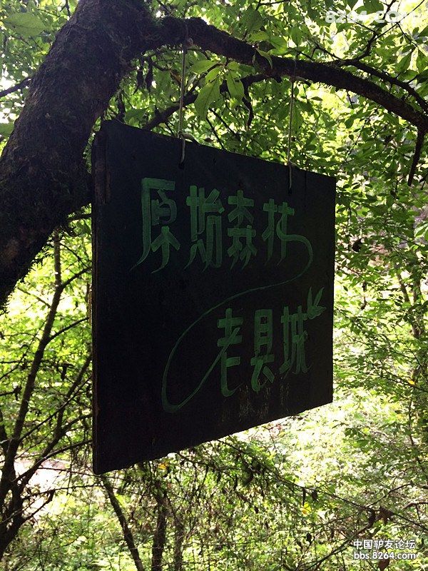 四天单车穿越眉县-西安-太白县-黄柏塬-周至老微信滑木块游戏秘籍图片