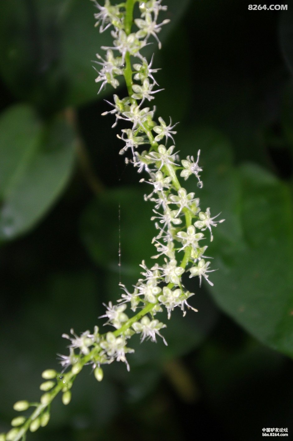 总有一些地方让你安静下来-沙涌行记