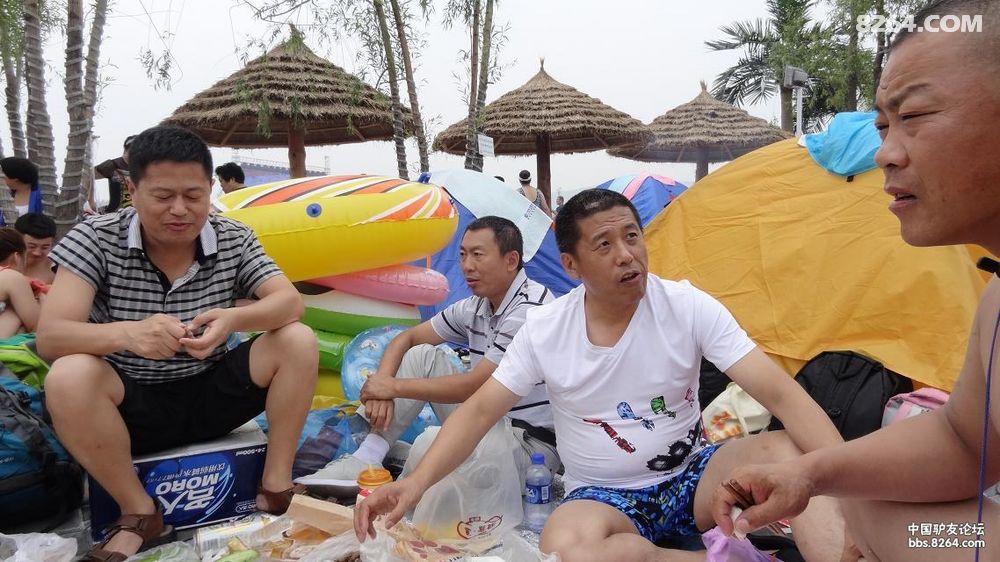 七台河8264赴黑龙江 海月湾水上乐园作业贴 -