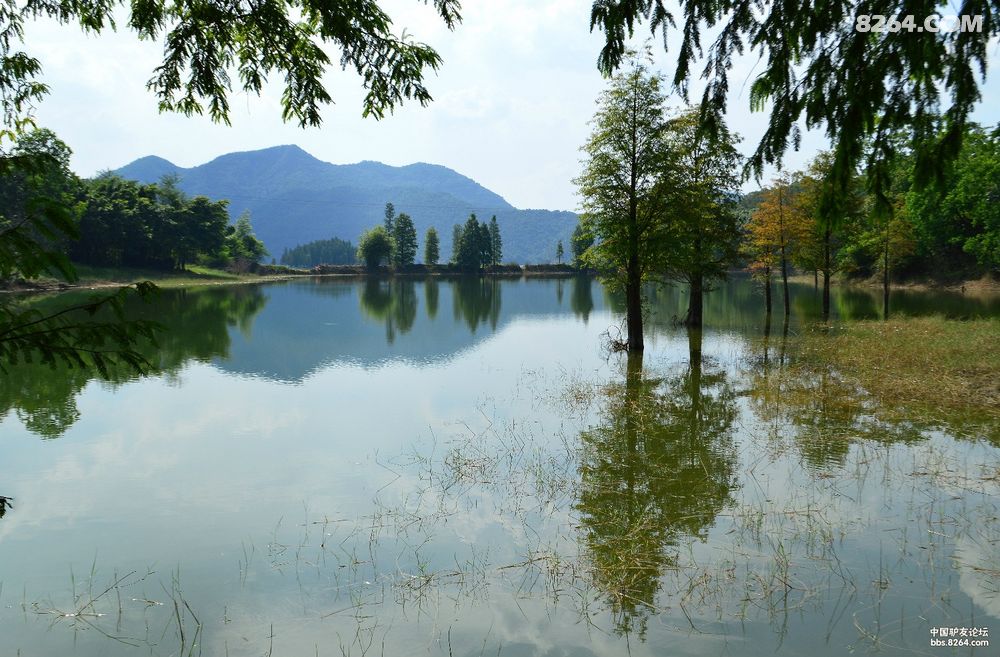 从五星营地到大寮--8.23寻秋避暑水杉林[中山]