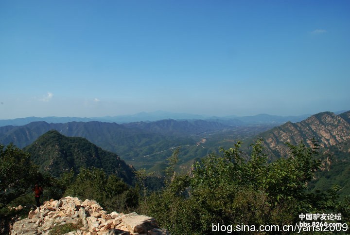 1995年的长城赤霞珠经典干红写着保质期10年