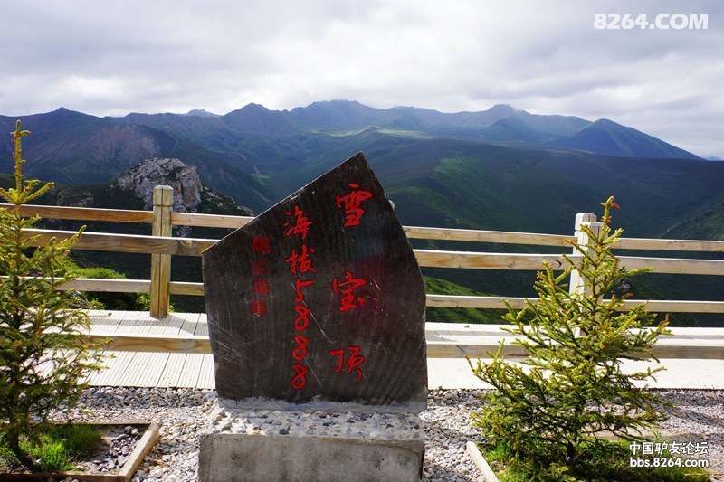 {我是一只彩蝶500}.