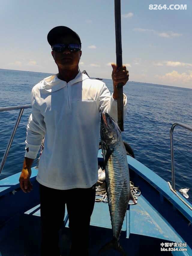 广东惠州港口双月湾约海钓哦!马胶鱼烟仔金枪