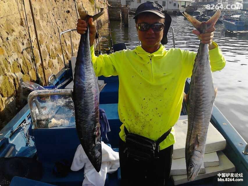 广东惠州港口双月湾约海钓哦!马胶鱼烟仔金枪