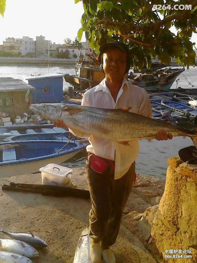 广东惠州港口双月湾约海钓哦!马胶鱼烟仔金枪