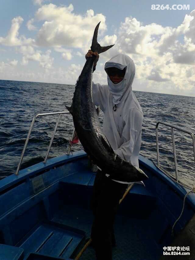 广东惠州港口双月湾约海钓哦!马胶鱼烟仔金枪