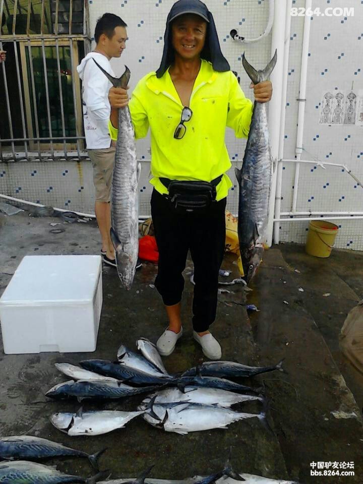 广东惠州港口双月湾约海钓哦!马胶鱼烟仔金枪