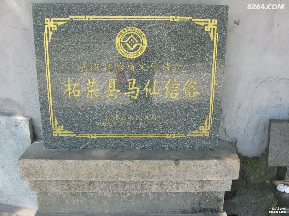 柘荣东狮山巡游(不看不知道东狮真奇妙) - 福建