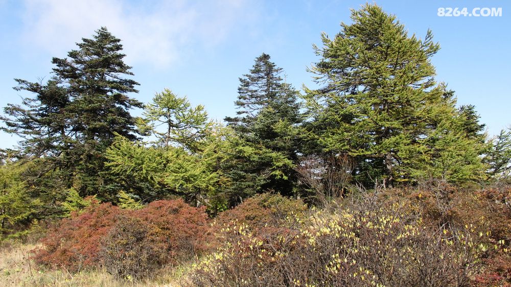 2014年国庆节知天命之年---随冰岩探旅鳌太穿