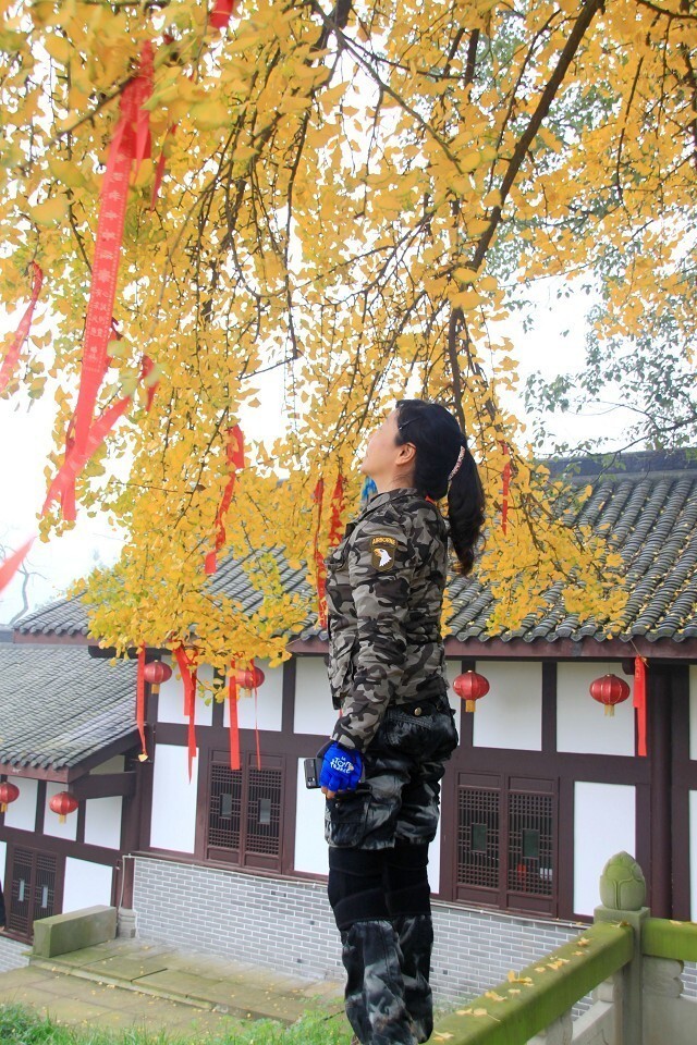 AA相约赏银杏、徒步天星寺、天星寺镇小环线