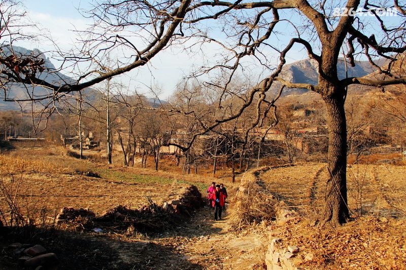 冬日草黄伴行程 经典线路走一冬--自驾到邢台前