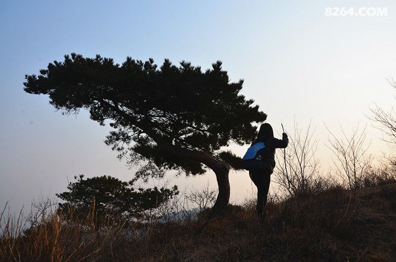 汪洋台-鸽子崖-河崖尖-马头山-腰关穿越 - 第1页
