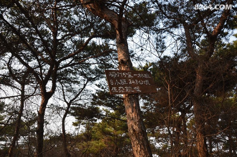 汪洋台-鸽子崖-河崖尖-马头山-腰关穿越 - 第1页