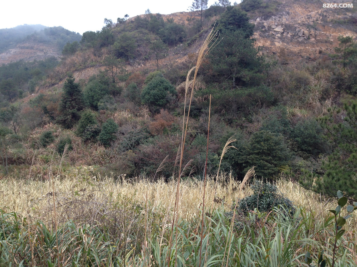 莆田望江山穿越