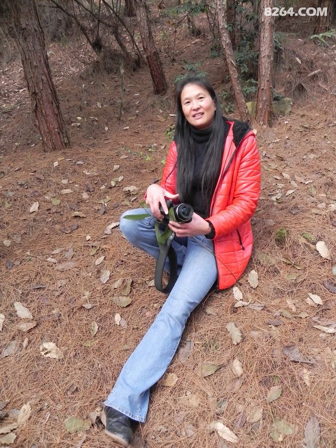 跟晨曦领队徒步静观腊梅园,赏腊梅穿野山吃农