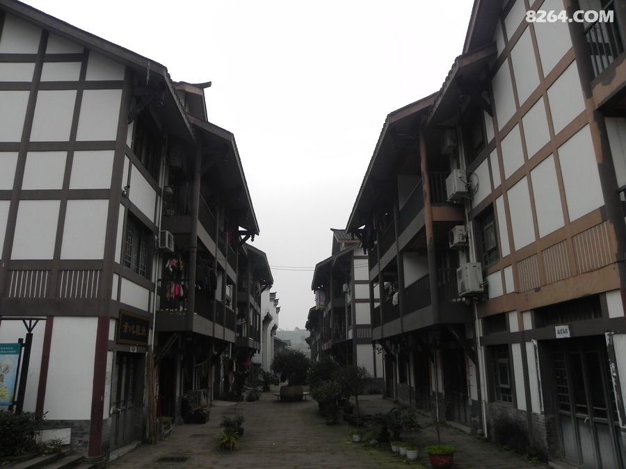 跟晨曦领队徒步静观腊梅园,赏腊梅穿野山吃农