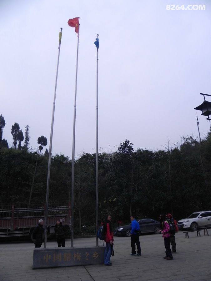 跟晨曦领队徒步静观腊梅园,赏腊梅穿野山吃农