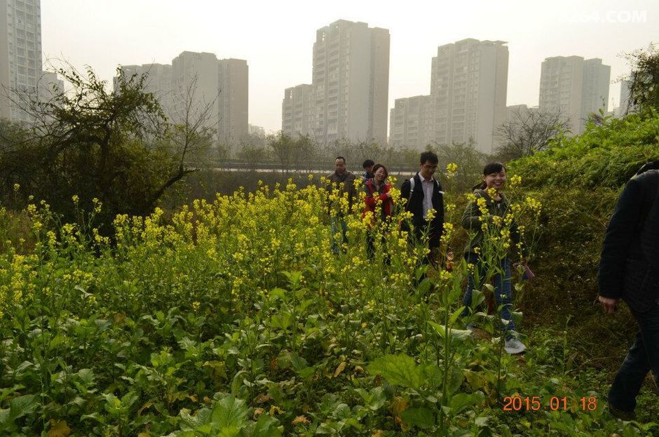 -虎峰山-水天池-为31日夜-群5周年庆-集体舞-小